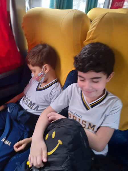 Bicho Mania 2022